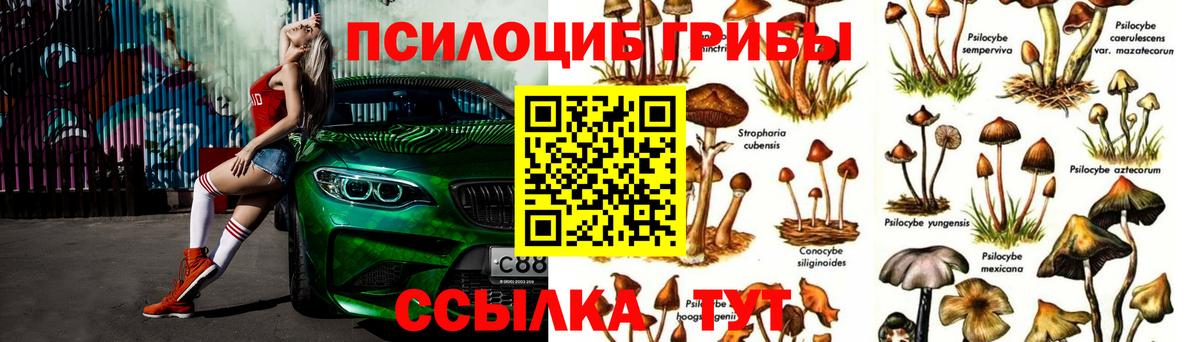 Псилоцибиновые грибы Psilocybe  Псилоцибиновые грибы GOLDEN TEACHER  Вход с VPN  Белово 